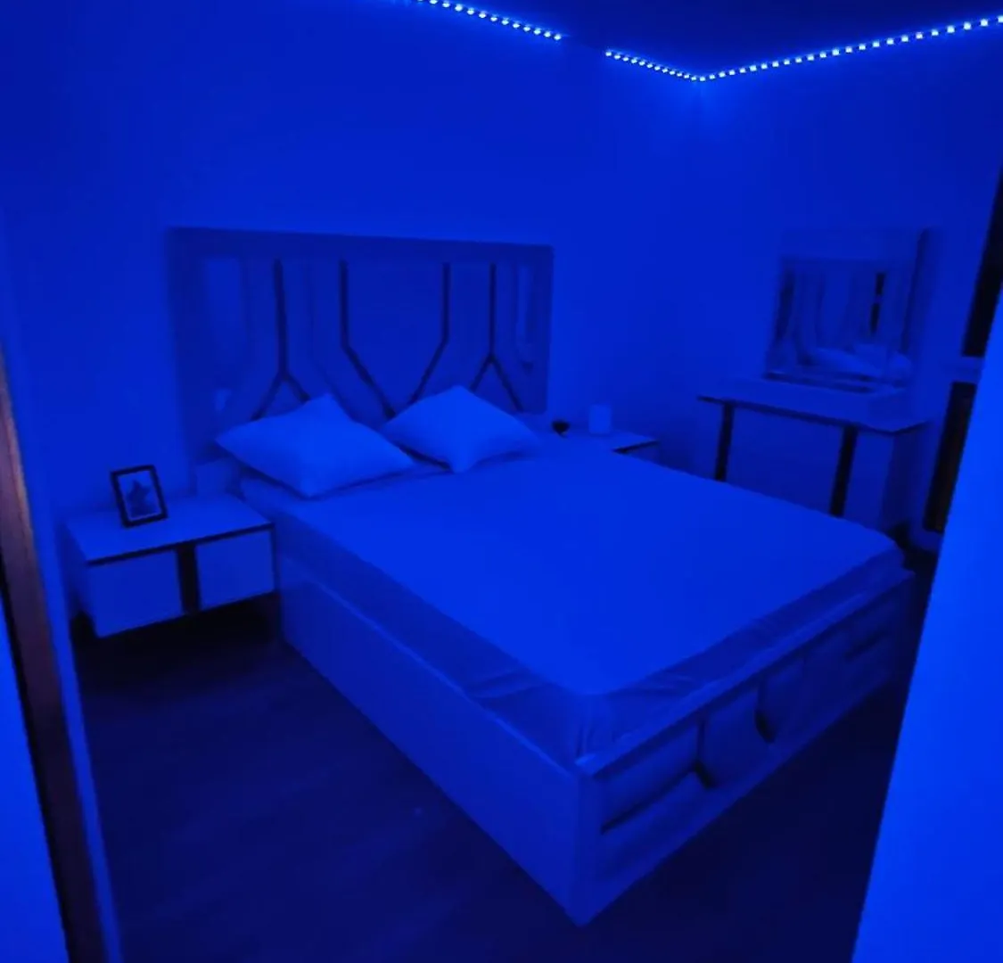 Lejlighed Appartement Luxueux De Haut Standing Au Coeur De Lyon Avec Une Terrasse Vue Sur La Ville Lumiere Frankrig