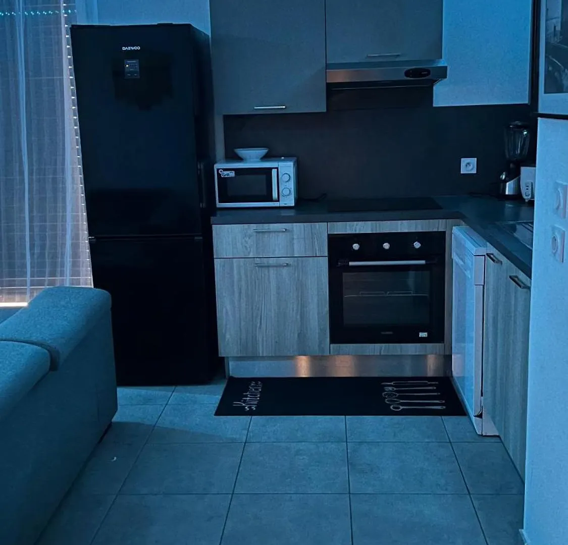 Appartement Luxueux De Haut Standing Au Coeur De Lyon Avec Une Terrasse Vue Sur La Ville Lumiere Apartmán