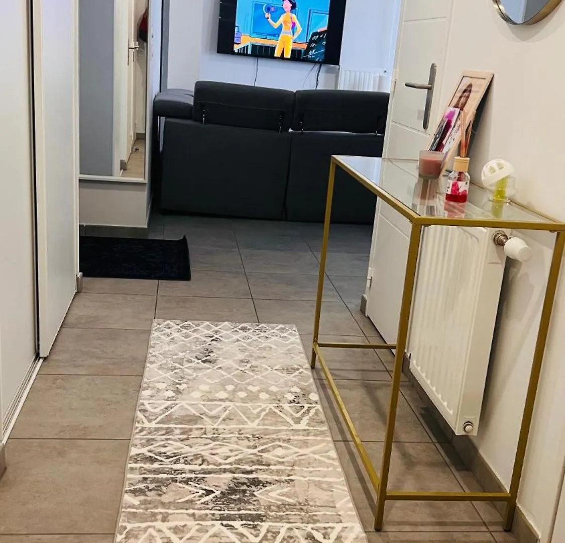 Appartement Luxueux De Haut Standing Au Coeur De Lyon Avec Une Terrasse Vue Sur La Ville Lumiere 0*,