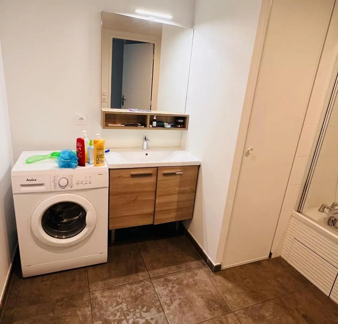 Appartement Luxueux De Haut Standing Au Coeur De Lyon Avec Une Terrasse Vue Sur La Ville Lumiere Apartment