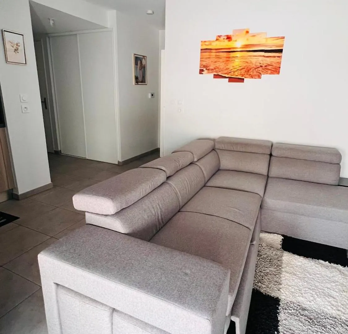 Appartement Luxueux De Haut Standing Au Coeur De Lyon Avec Une Terrasse Vue Sur La Ville Lumiere France