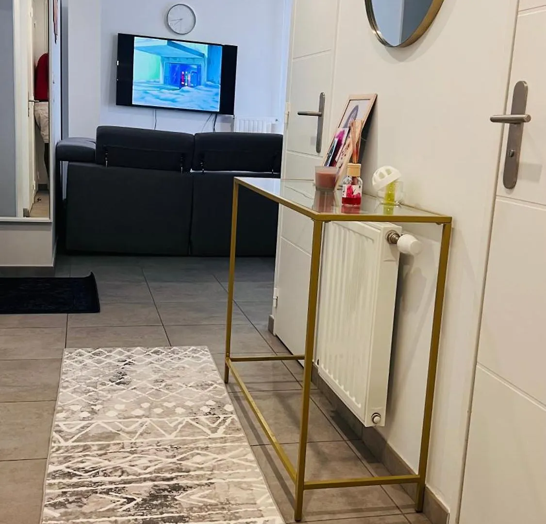 Apartment Appartement Luxueux De Haut Standing Au Coeur De Lyon Avec Une Terrasse Vue Sur La Ville Lumiere